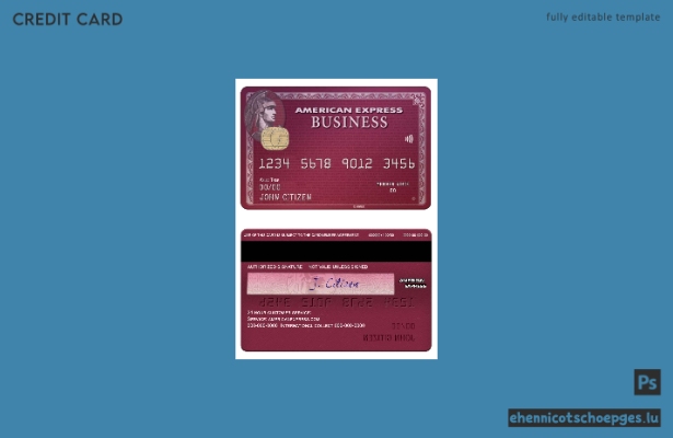 USA BBandT Corp. Bank Amex Business Plum Card Beispielvorschau